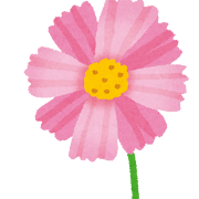ΎL9
